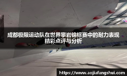成都极限运动队在世界攀岩锦标赛中的耐力表现精彩点评与分析